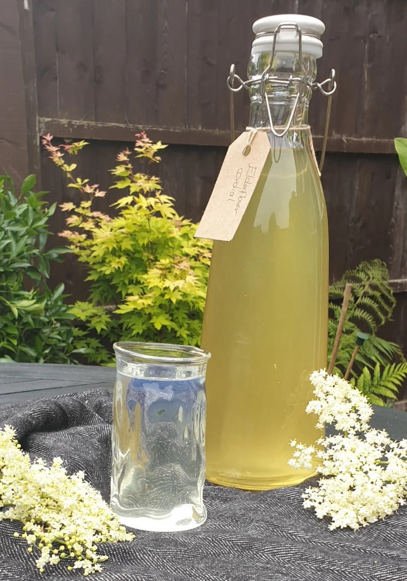 How to Make Elderflower Cordial